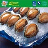 Frozen Instant Abalone