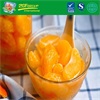 HOT SALE Canned mandarine orange