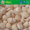 Frozen sea scallop meat