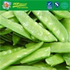 frozen vegetable IQF pea pods