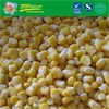 IQF organic super sweet corn kernels
