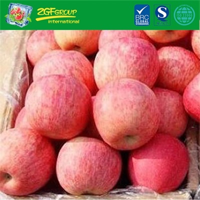 Fresh fuji apple
