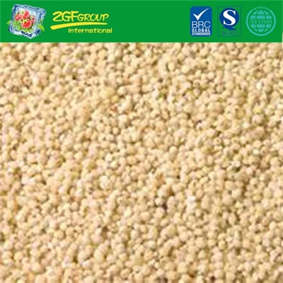 Sorghum