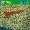 New Crop IQF vacuum sweet corn