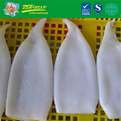 Frozen squid products