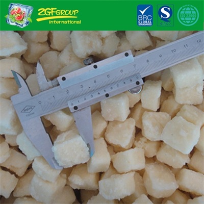 Bqf garlic puree tablet 5g
