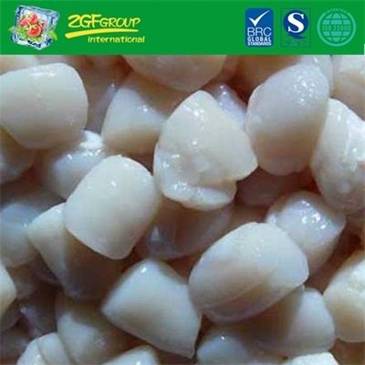 Frozen bay scallop