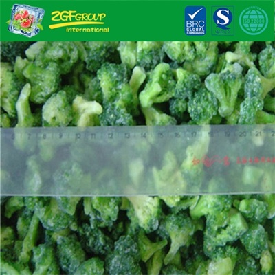 IQF Frozen Broccoli 10-20mm hot sale