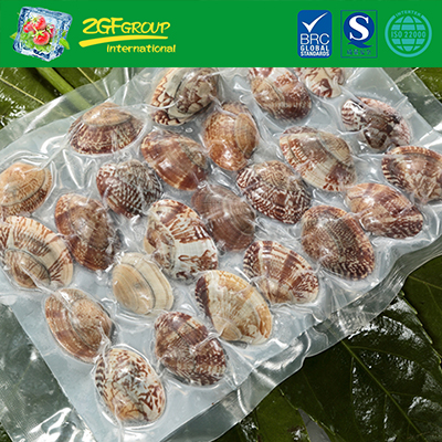 High quality Instant Clam