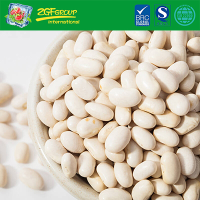 New crop Dry white kidney bean