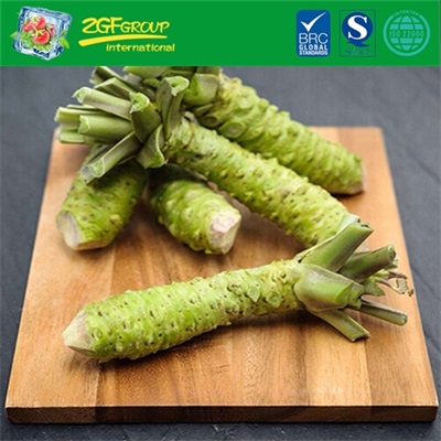 New crop IQF wasabi root