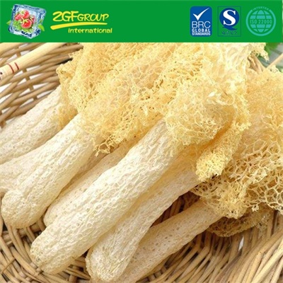 High quality Dried  bamboo fungus