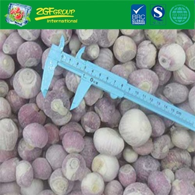 IQF whole shallot 20-40mm