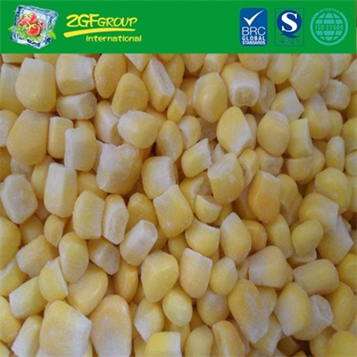 Hot sale IQF whole kernel sweet corn