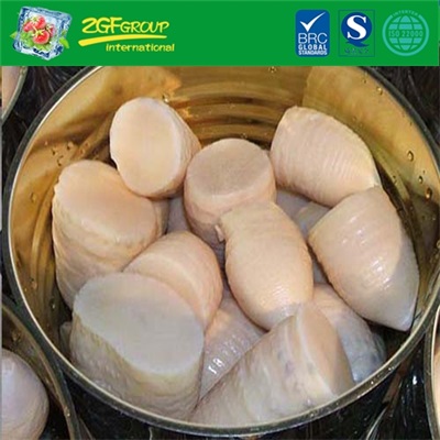 Canned Bamboo Shooot For Sale