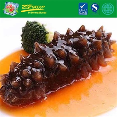 HOT sale Instant Sea Cucumber