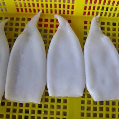 Frozen IQF squid products