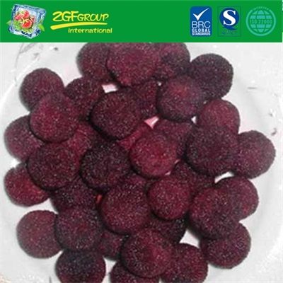 frozen fruits IQF yumberry