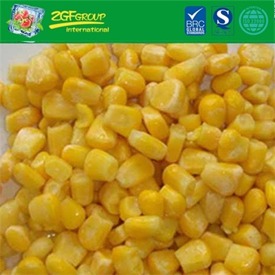 IQF sweet corn kernel