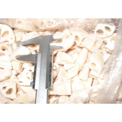 HOT SALE IQF diced lotus root 2cm