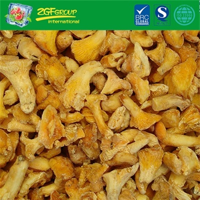 Frozen IQF chanterelle