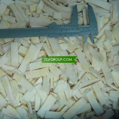 IQF Bamboo Shoot Slice with High Quality