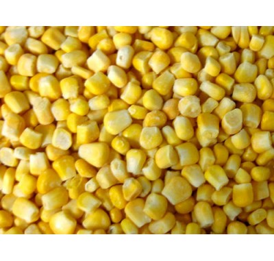 IQF sweet corn kernel