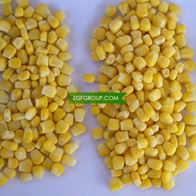 New Crop IQF sweet corn kernals