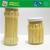 Top Grade Canned white asparagus