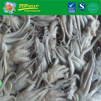 HOT SALE Frozen Squid Tentacles