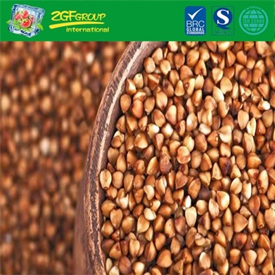High Quality Buckwheat With A Cheap Price