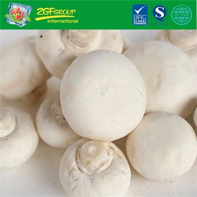 High Grade IQF whole button mushroom