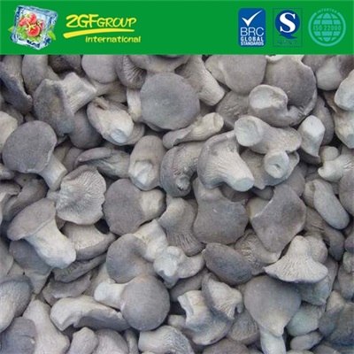 Good Grade IQF Baby Oyster Mushrooms