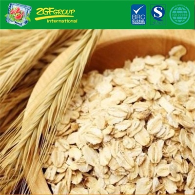 TOP Quality Oat