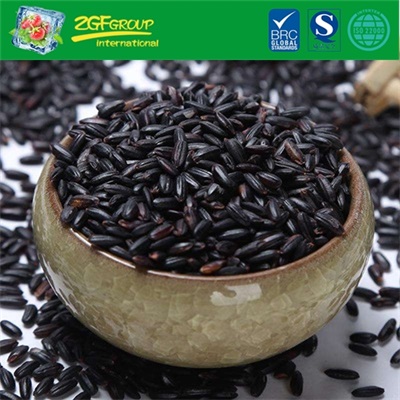 High Quality Black Rice