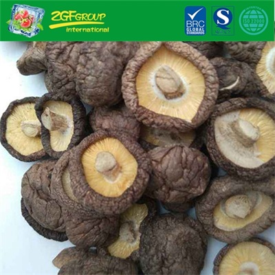High Quality Dried shiitake mushroom