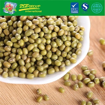 New Crop High Quality Dry Mung Beans