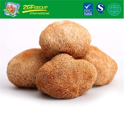 Natural Health Nutrition Food Dried Hericium