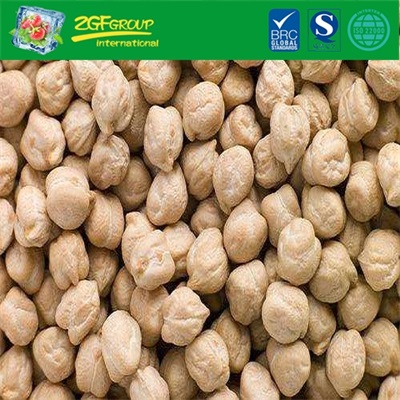 New Crop High Quality Chick Pea