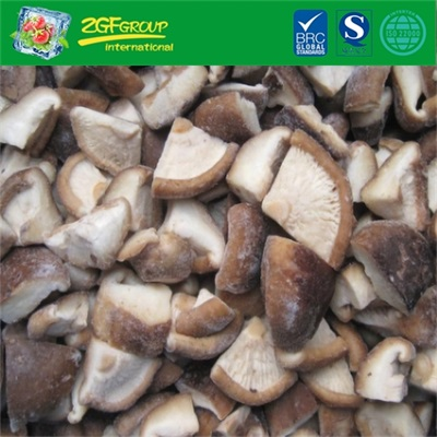 HOT SELLING IQF Cross Cut Shiitake Mushroom