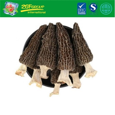 High Quality Dried Morel