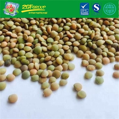 Good Quality Dry Lentils