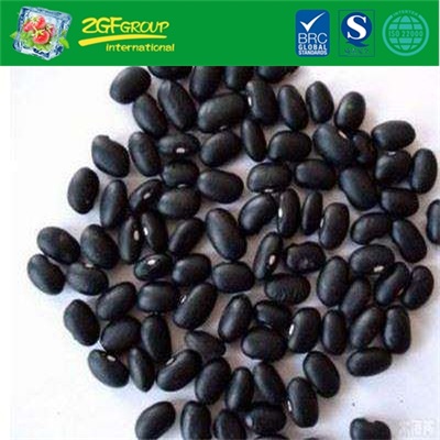Good Grade Black Turtle Bean