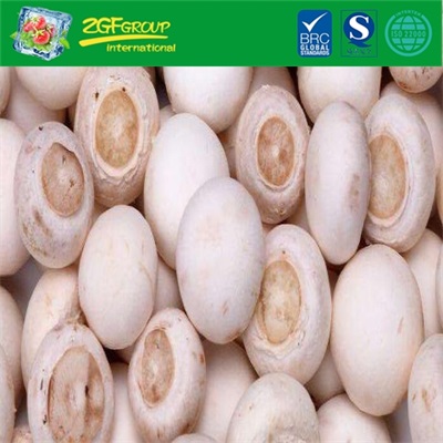 Good Grade IQF Cross Cut White Button Mushroom