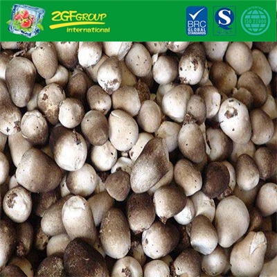 High Quality IQF Straw Mushroom