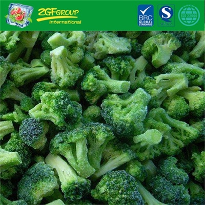 IQF Frozen  Fresh Broccoli Florets