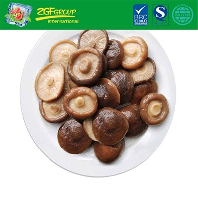 Good Grade Canned shiitake mushroom