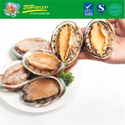 Yummy Instant Abalone