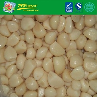 Good Taste Salted Garlic
