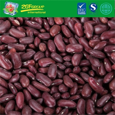 Natural IQF Frozen Red Kidney Bean